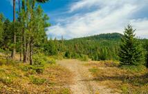 Griffin Creek Road 867 Acres, Marion