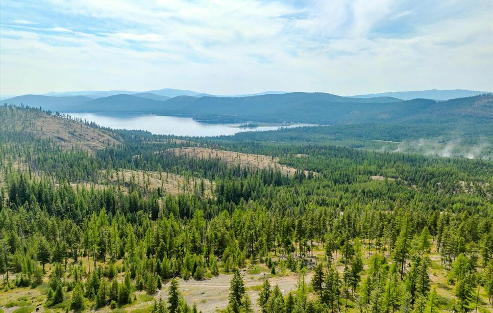 Griffin Creek Road 867 Acres, Marion