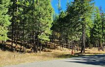 122 Kinnikinnik Circle, Whitefish