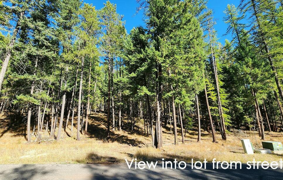 122 Kinnikinnik Circle, Whitefish