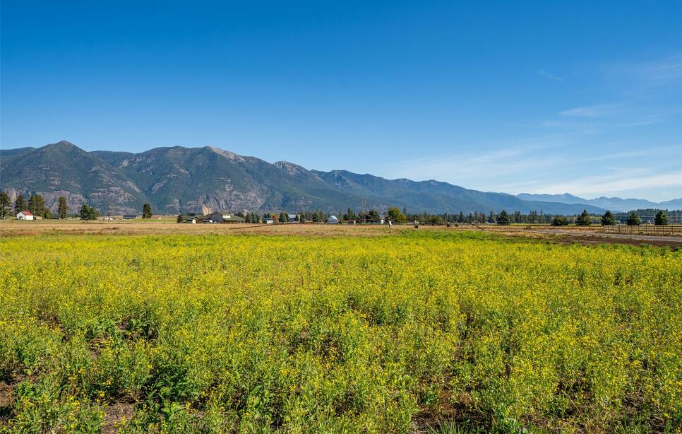 2049 Homestead Trail, Columbia Falls