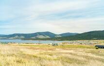 408 Left Hand Drive, Elmo