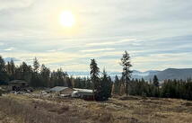 19649 Golden Pine Lane, Proctor