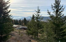 19649 Golden Pine Lane, Proctor