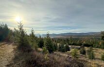 19649 Golden Pine Lane, Proctor