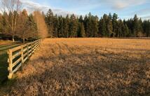 Nhn Conagher Lane, Columbia Falls
