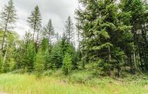 468 Haskill Ranch Road, Kila