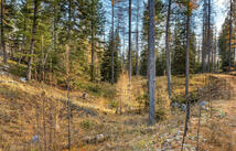 76 Meadow Mint Way, Kalispell