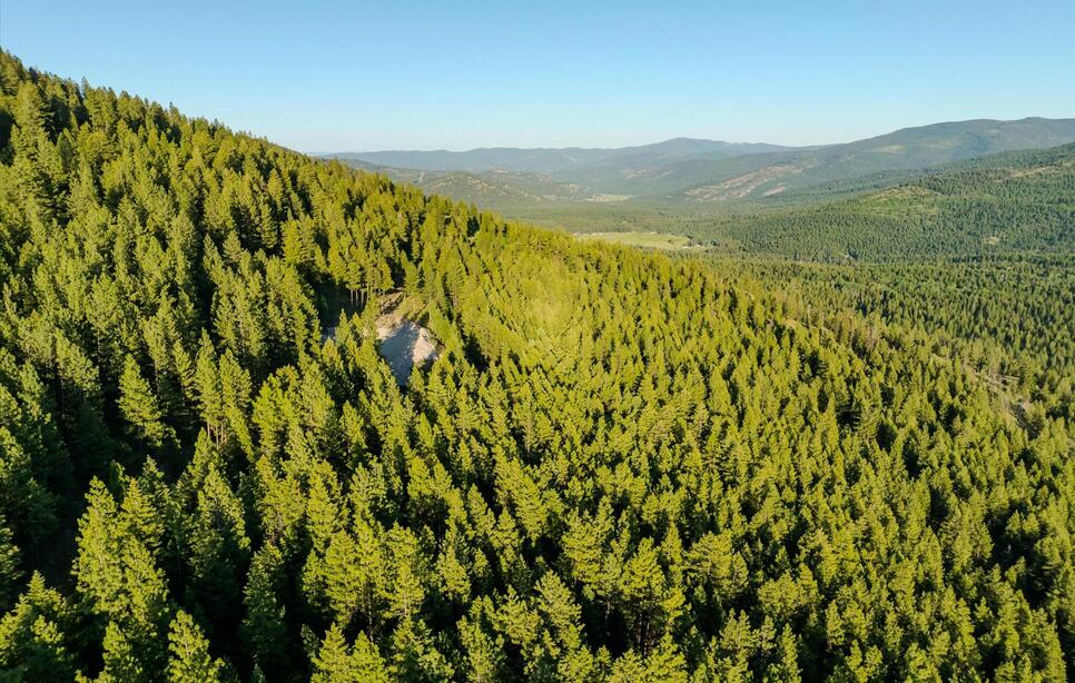 Powder Horn Lane Tr 7, Marion