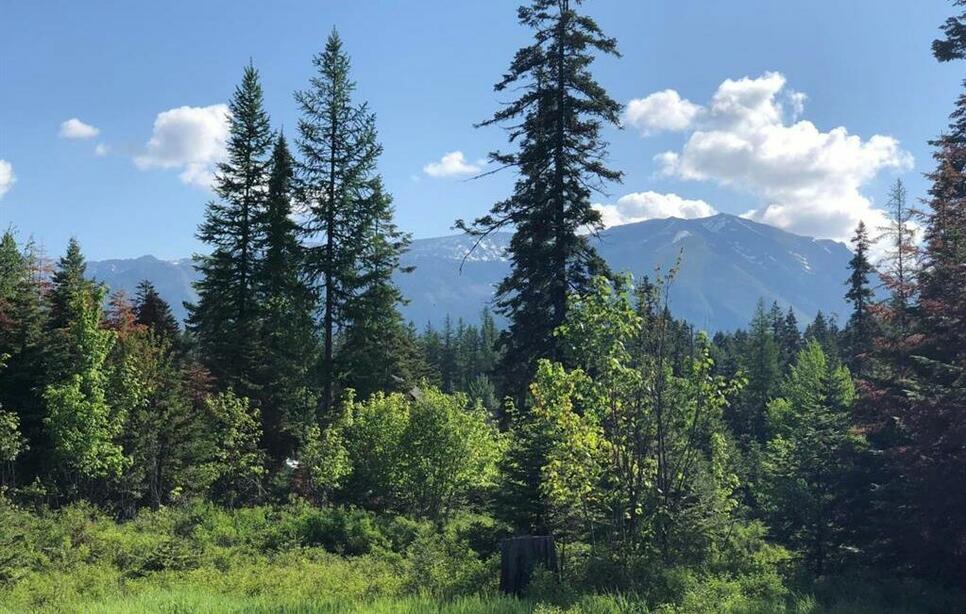 13515 Sundance Trail, Bigfork