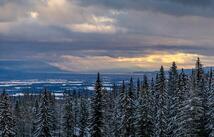 3898 Big Mountain Road 307, Whitefish