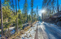 Dayton Creek Road Lot 9, Proctor