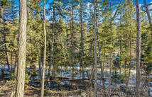 Dayton Creek Road Lot 9, Proctor