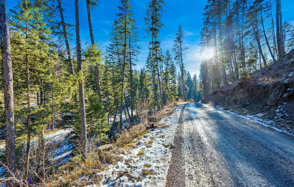 Dayton Creek Road Lot 9, Proctor