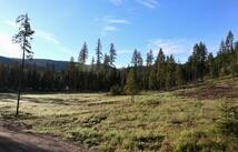 1186 Barbara's Way, Kila