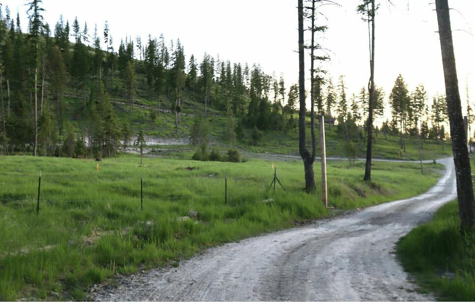 1186 Barbara's Way, Kila