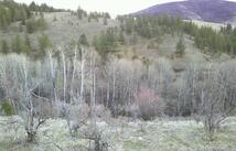 Nhn Browns Meadow Road, Niarada