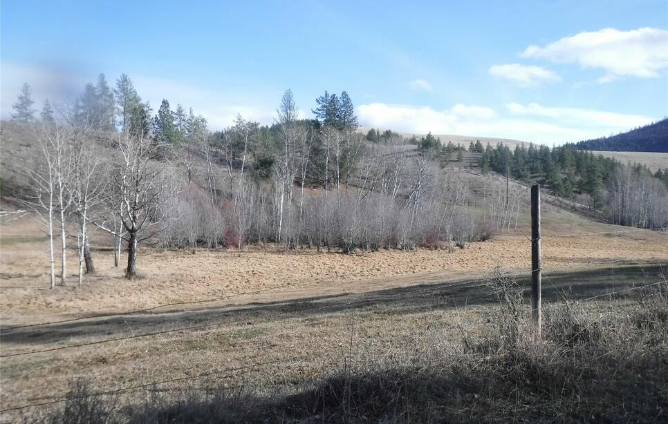 Nhn Browns Meadow Road, Niarada