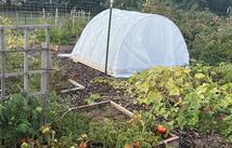 50 Baron Lane, Eureka