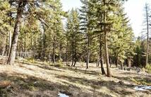 270 Tomahawk Trail, Fortine