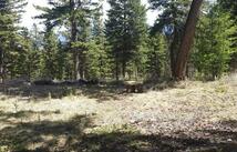 270 Tomahawk Trail, Fortine