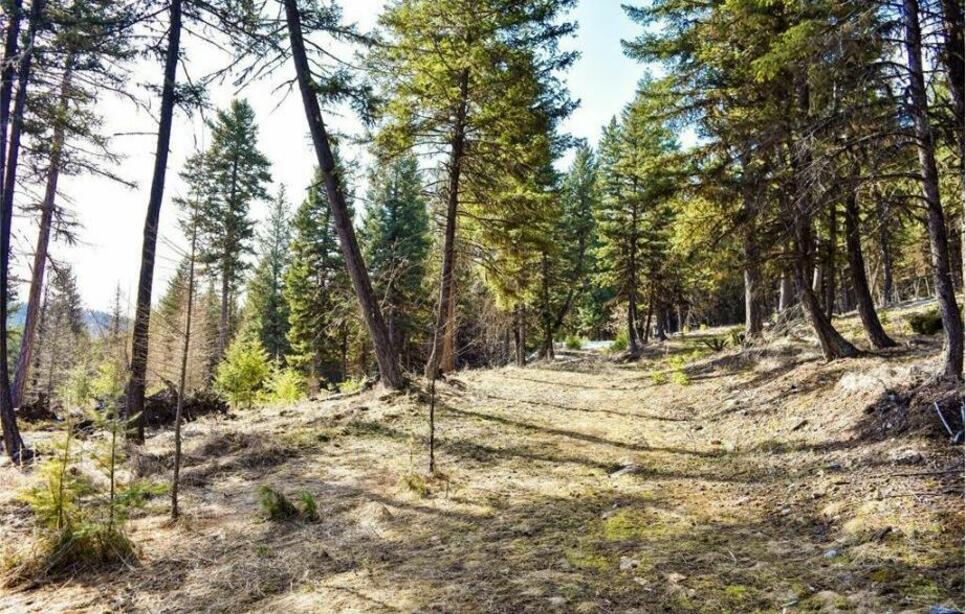 270 Tomahawk Trail, Fortine