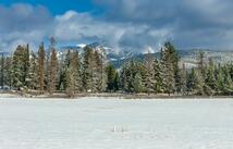 207 Wilhelm Way Lot 4, Whitefish