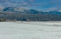 207 Wilhelm Way Lot 4, Whitefish