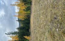 301 Haskill Ranch Road, Kila