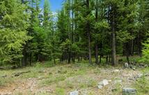 Lot 11 Tamarack Lane, Rexford