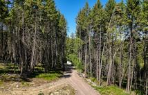 615 Swan Hill Drive, Bigfork