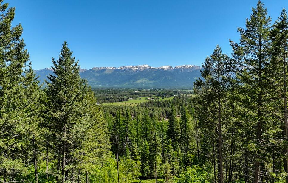 615 Swan Hill Drive, Bigfork