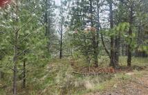 31009 Canyon View Place, Polson