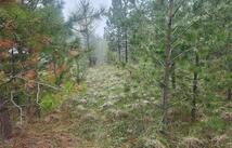 31009 Canyon View Place, Polson