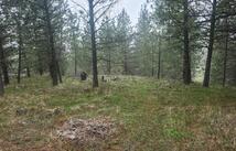 31009 Canyon View Place, Polson