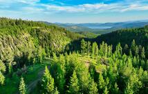 Little Bitterroot Overlook, Marion