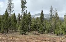 301 Haskill Ranch Road 17.31 Acres, Kila