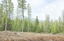 301 Haskill Ranch Road 17.31 Acres, Kila