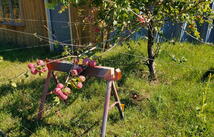 575 Rolling Hills Road, Eureka