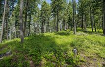 369 Chief Cliff Trail, Bigfork