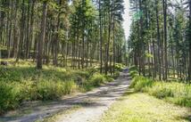 176 Murray Ridge Road, Whitefish