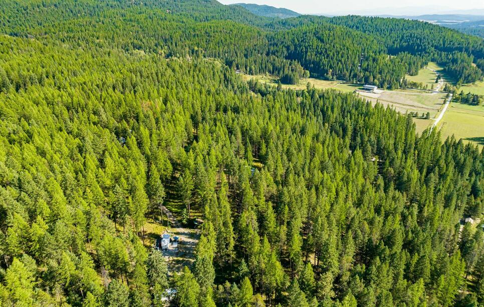 176 Murray Ridge Road, Whitefish