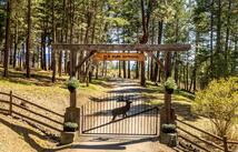 13518 Sylvan Drive, Bigfork