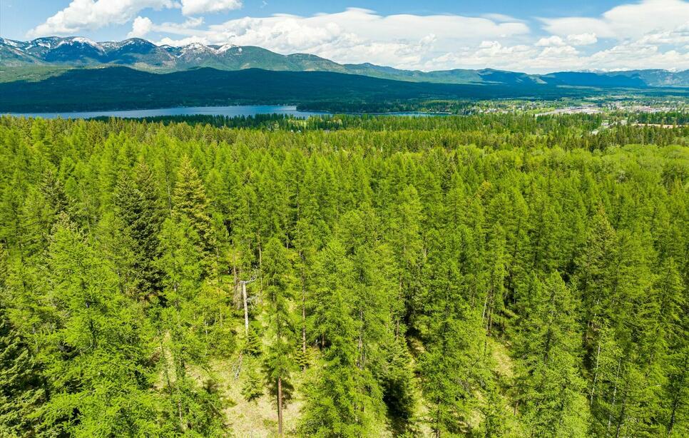 1340 Lion Mountain Drive, Whitefish