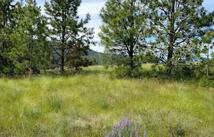 Nhn Sunrise Heights Off So Rim, Jette Meadows Ii, Polson