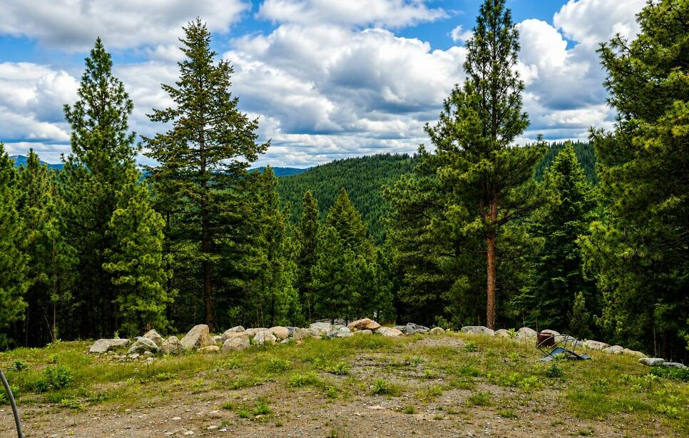 2025 Haywire Gulch, Kalispell