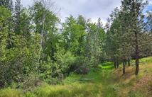 Nhn Old Hot Springs Road, Hot Springs