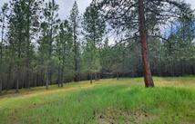Nhn Old Hot Springs Road, Hot Springs