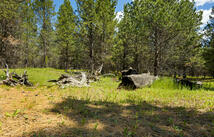 9295 Lost Prairie Road, Marion