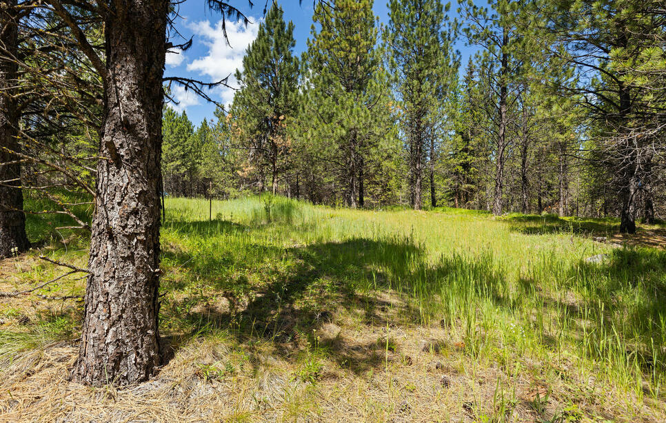 9295 Lost Prairie Road, Marion